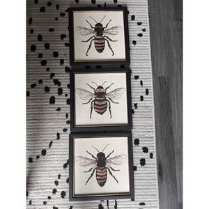 Threshold Set of 3 Bees Canvas Prints